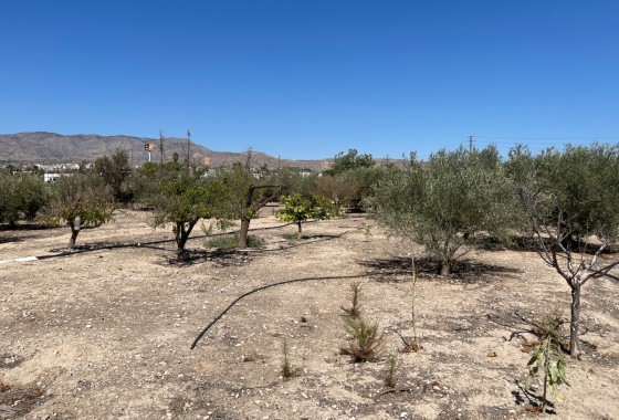 Reventa - Chalet - Crevillent - Inland