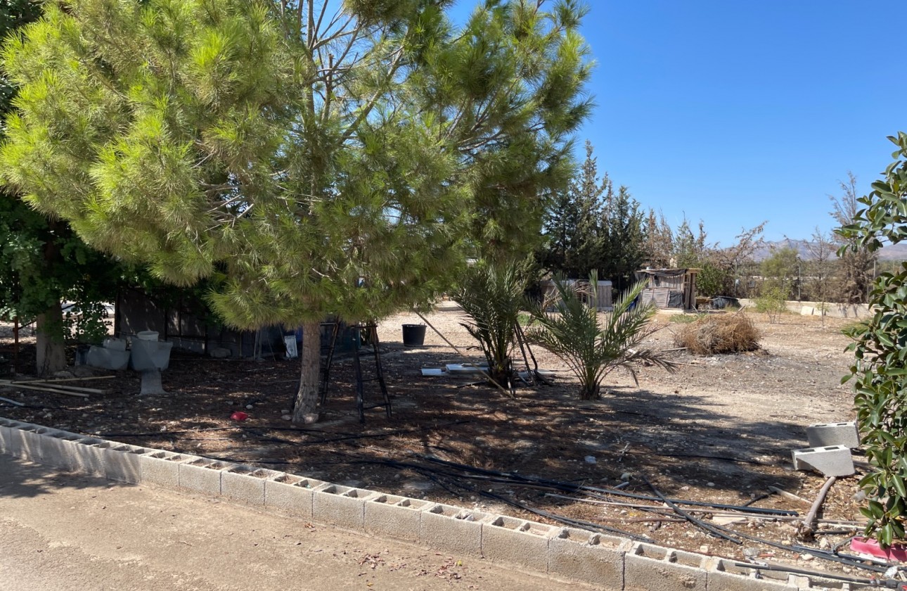 Reventa - Chalet - Crevillent - Inland