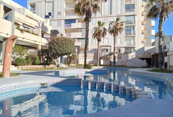 Reventa - Ático - Torrevieja - PLAYA DE LA MATA