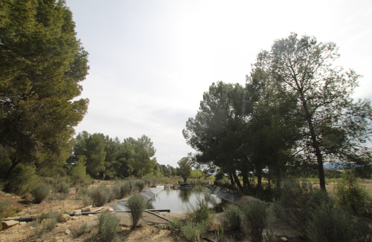 Revente - Property - Monóvar/Monóver - Inland