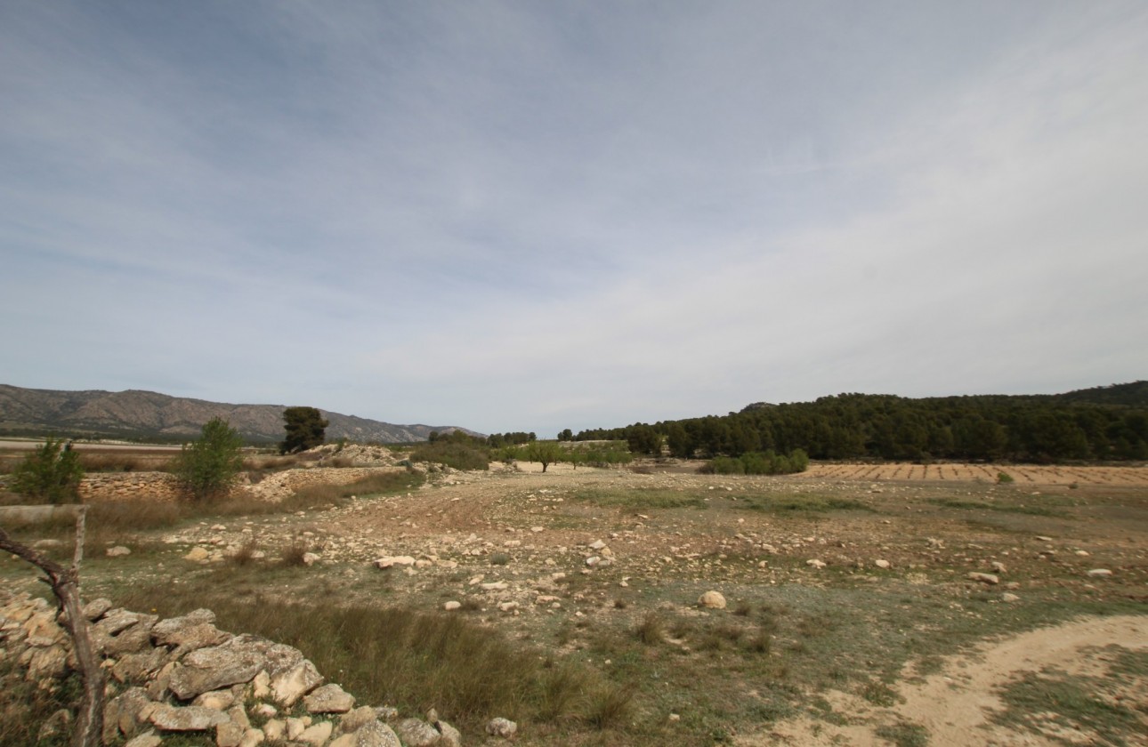 Revente - Property - Monóvar/Monóver - Inland