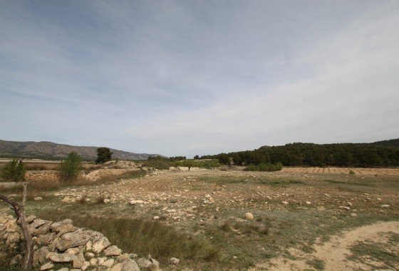 Revente - Property - Monóvar/Monóver - Inland