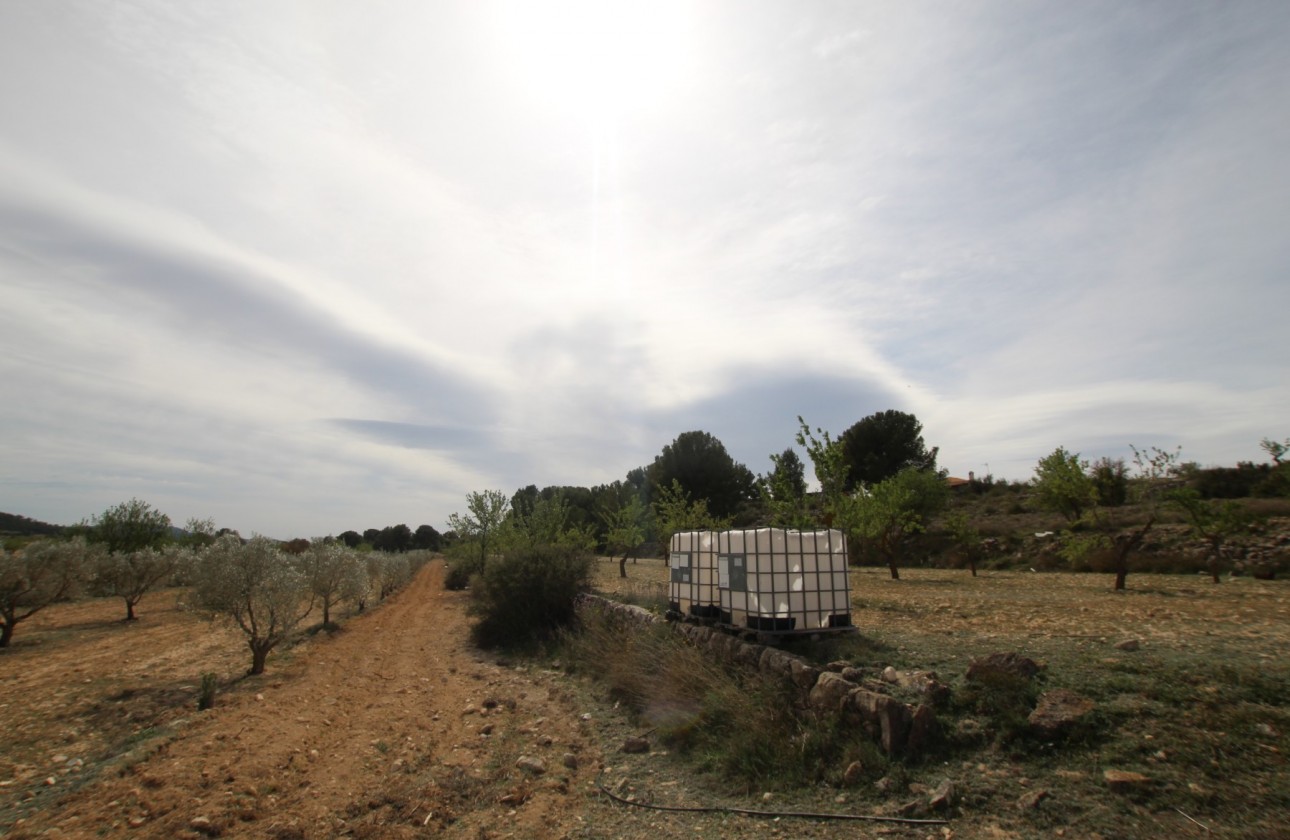 Revente - Property - Monóvar/Monóver - Inland