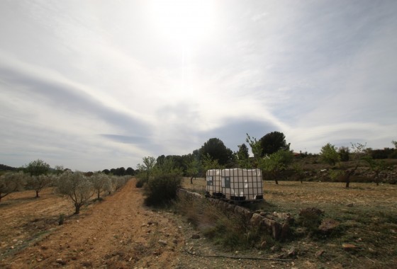 Revente - Property - Monóvar/Monóver - Inland