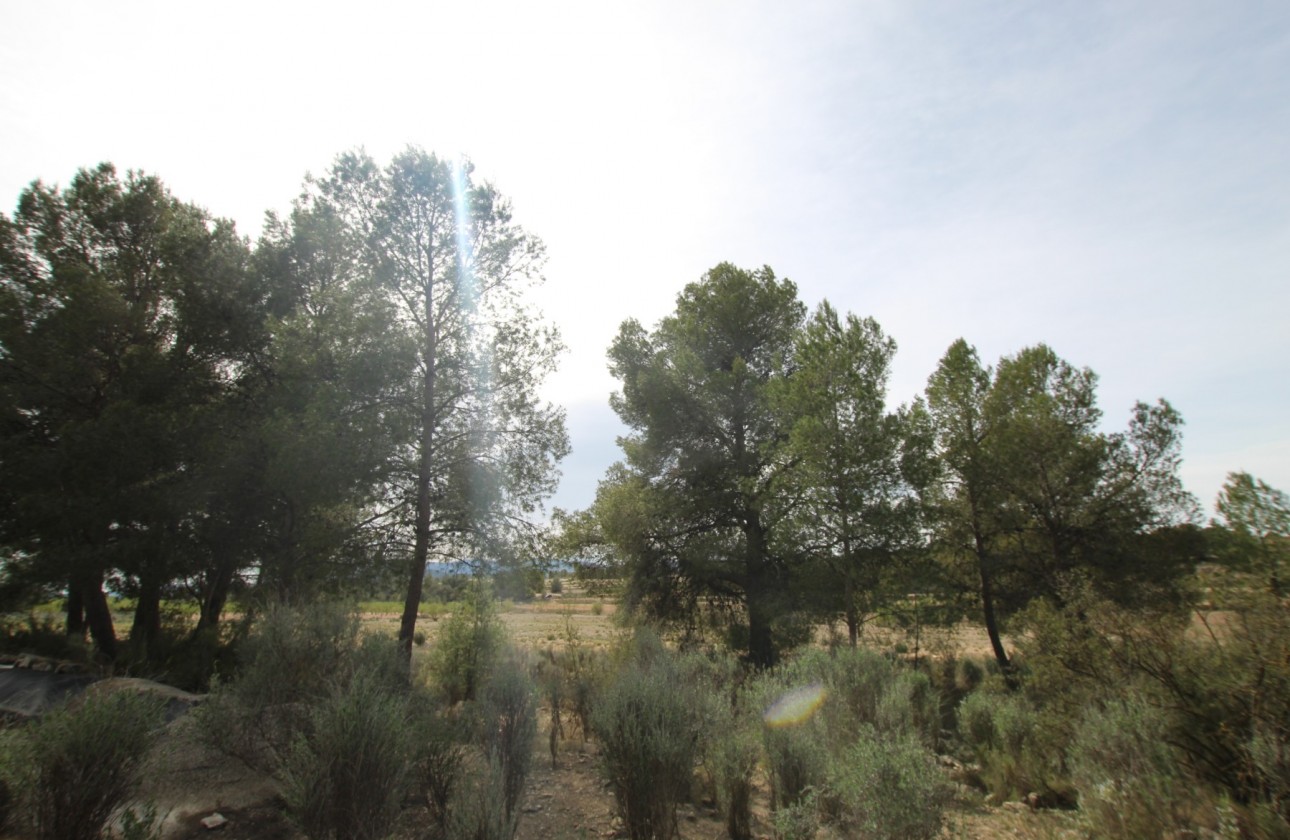 Revente - Property - Monóvar/Monóver - Inland