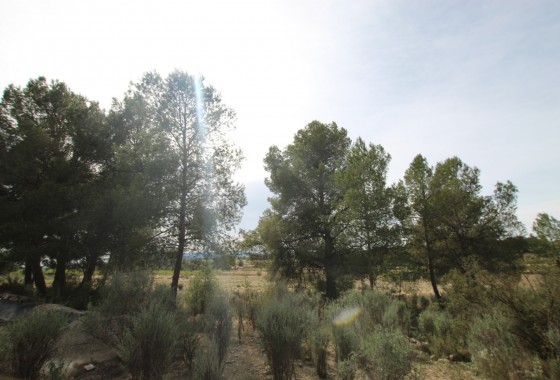 Revente - Property - Monóvar/Monóver - Inland