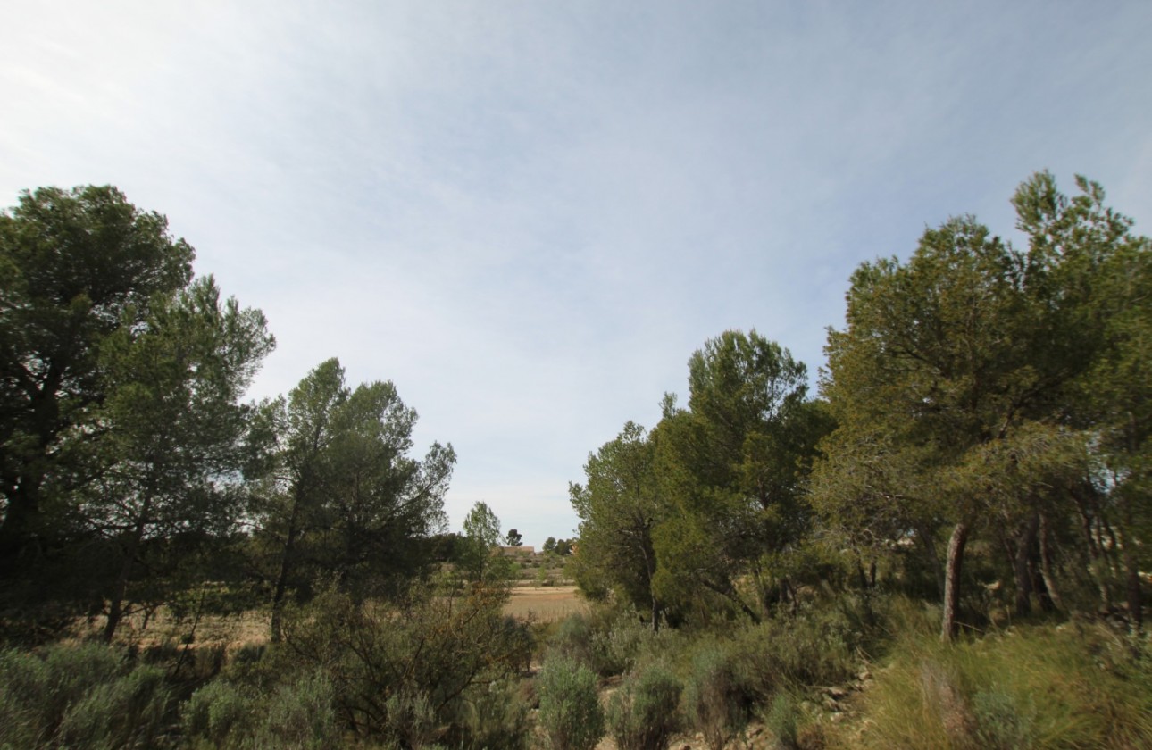 Revente - Property - Monóvar/Monóver - Inland