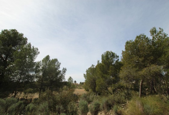Revente - Property - Monóvar/Monóver - Inland