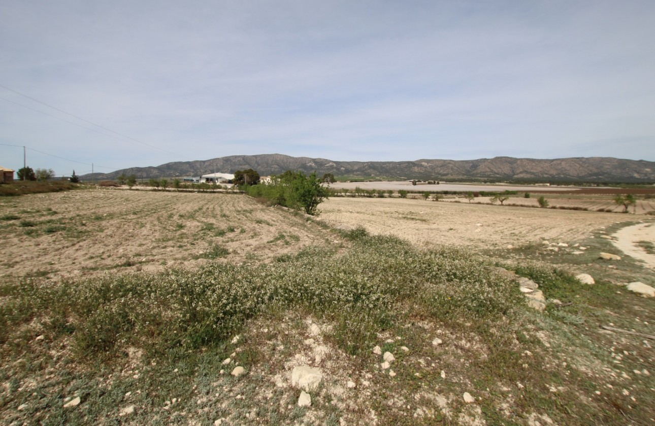 Revente - Property - Monóvar/Monóver - Inland