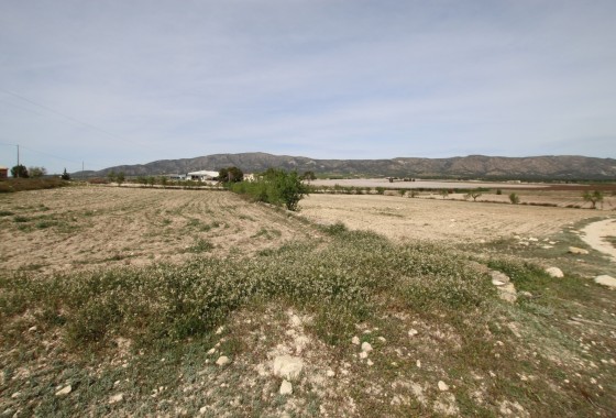 Revente - Property - Monóvar/Monóver - Inland