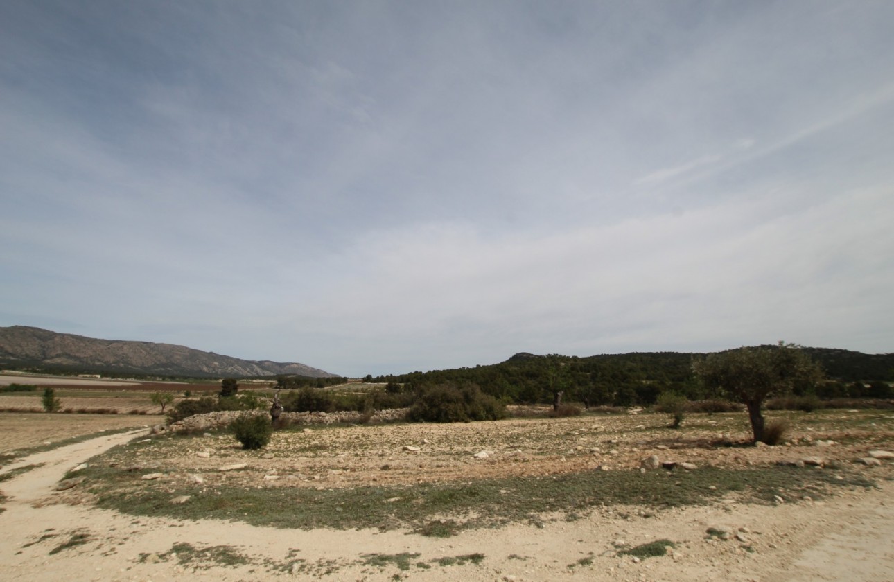 Revente - Property - Monóvar/Monóver - Inland