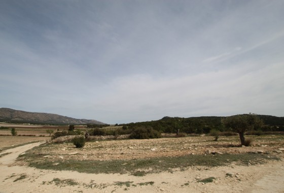 Revente - Property - Monóvar/Monóver - Inland