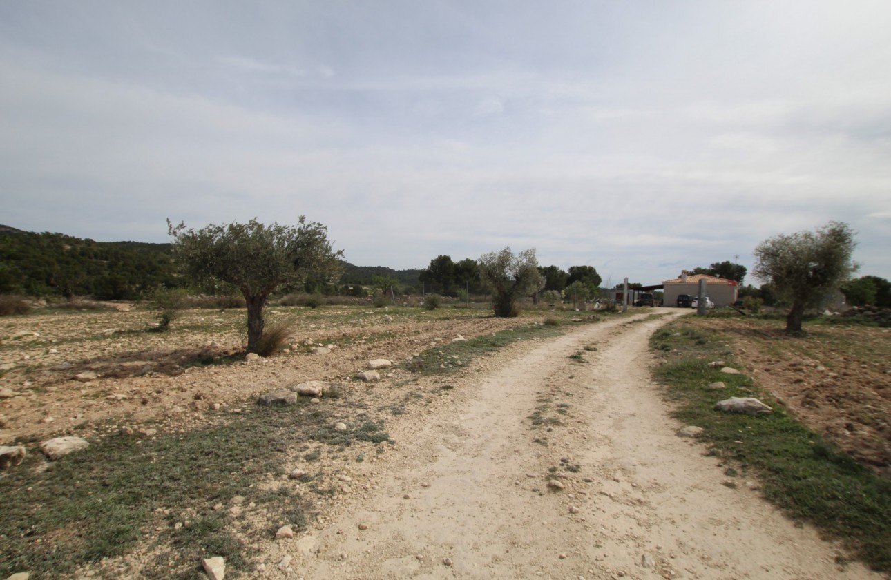 Revente - Property - Monóvar/Monóver - Inland
