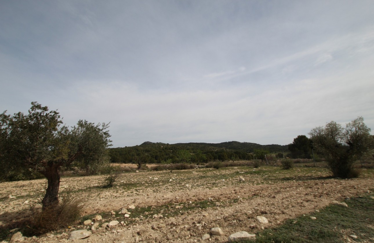 Revente - Property - Monóvar/Monóver - Inland