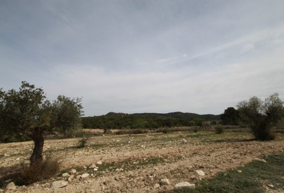 Revente - Property - Monóvar/Monóver - Inland