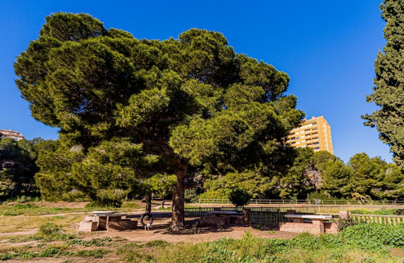 Reventa - Duplex - Dehesa de campoamor - Costa Blanca
