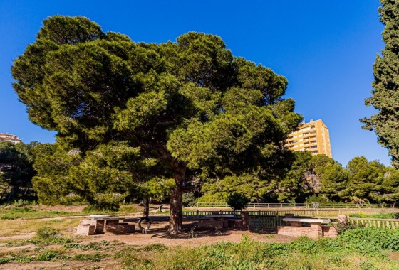 Reventa - Duplex - Dehesa de campoamor - Costa Blanca