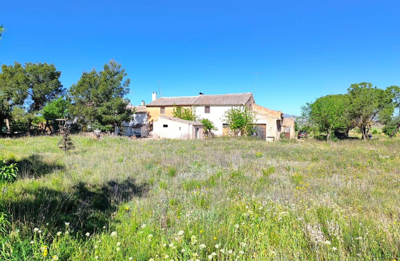 Revente - Property - Yecla - Inland