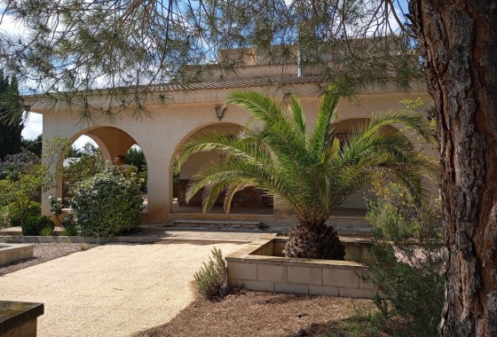 Revente - Villa - Yecla - Inland