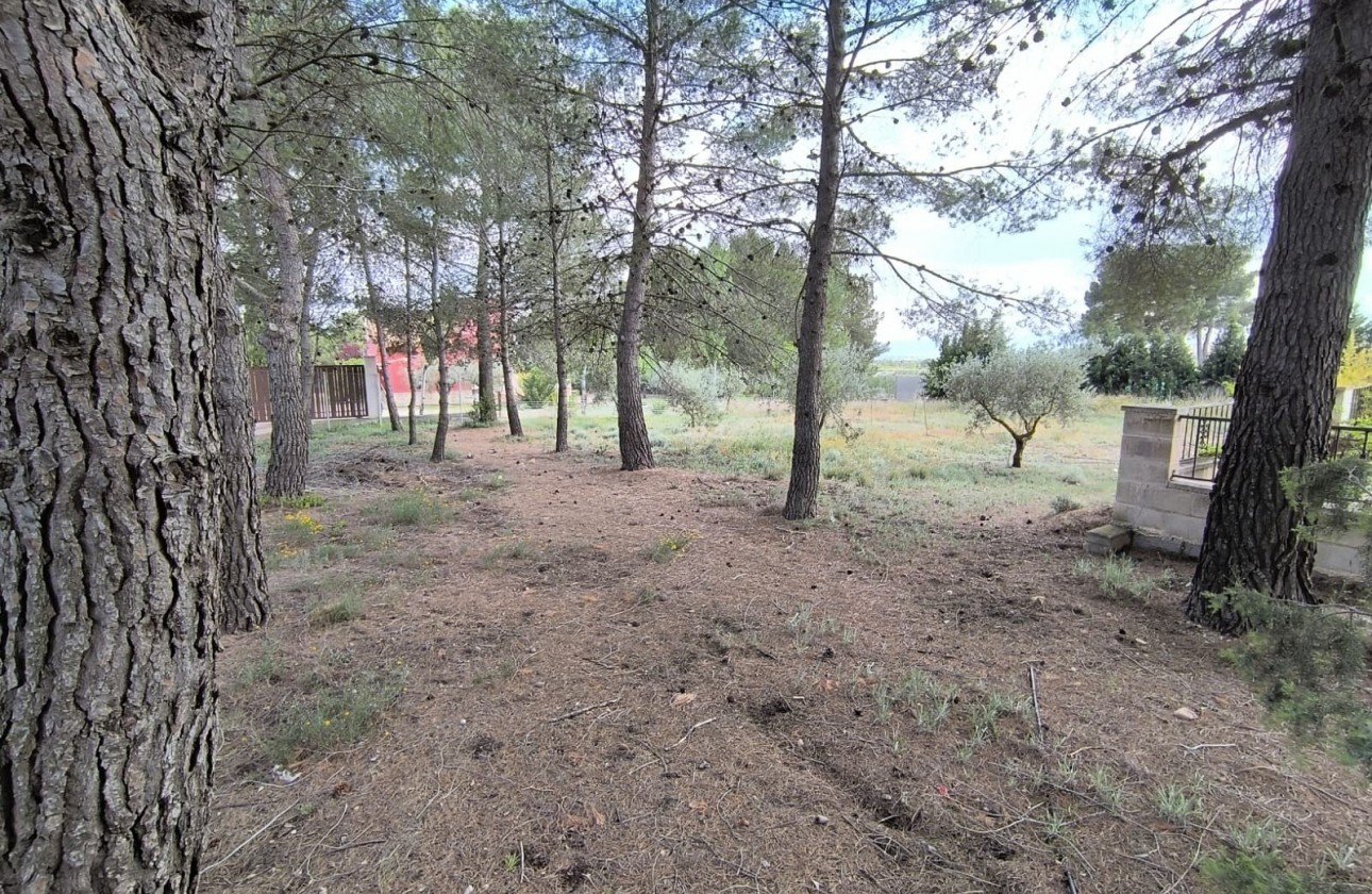 Revente - Villa - Yecla - Inland