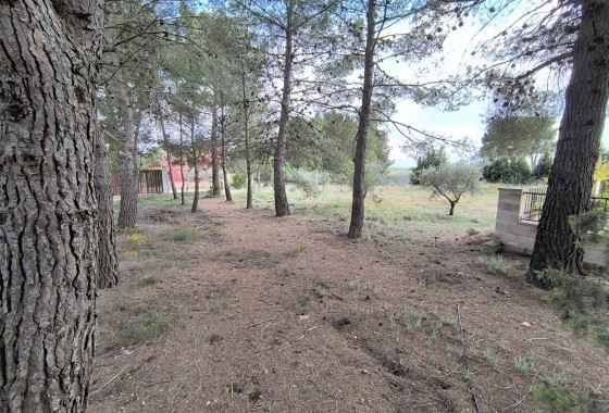 Revente - Villa - Yecla - Inland
