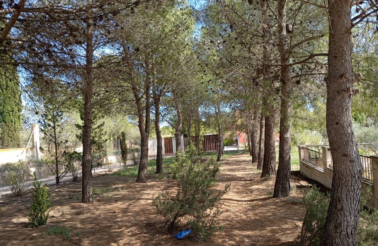 Revente - Villa - Yecla - Inland