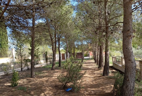 Revente - Villa - Yecla - Inland
