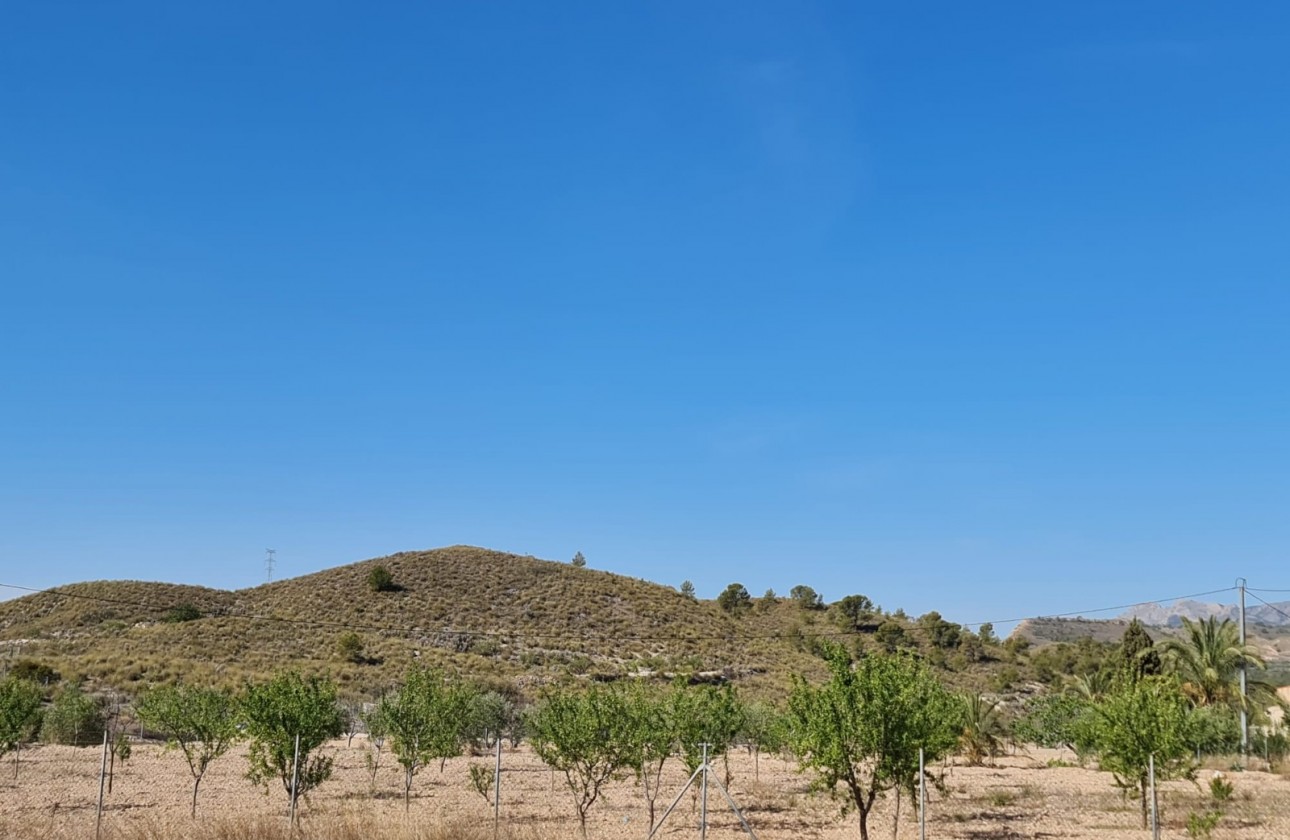 Revente - Villa - Barinas - Inland