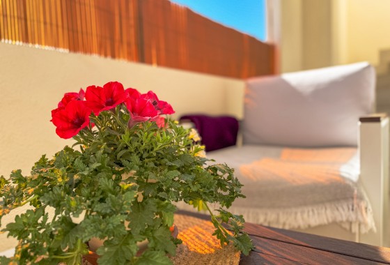 Resale - Bungalow - Los Altos - Costa Blanca