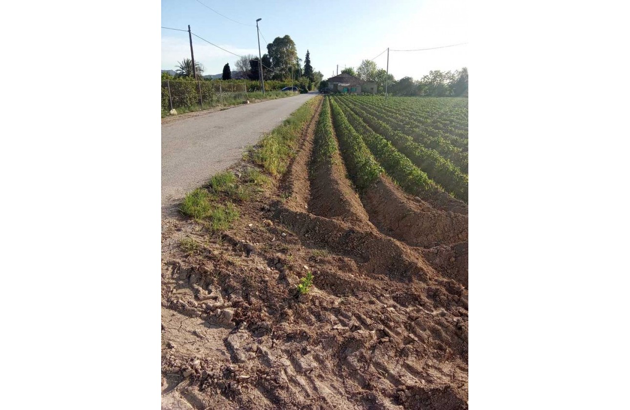 Resale - Country house - Arneva - LOS DESAMPARADOS