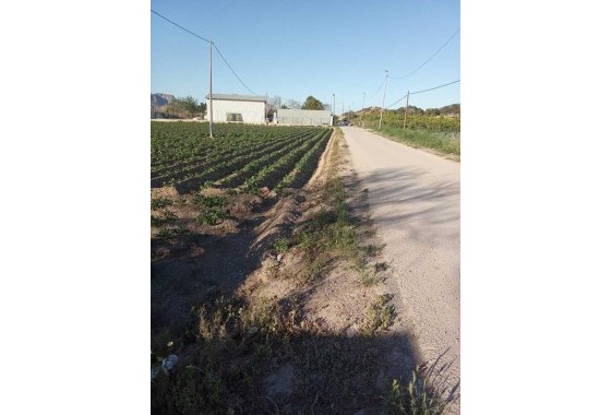 Resale - Country house - Arneva - LOS DESAMPARADOS