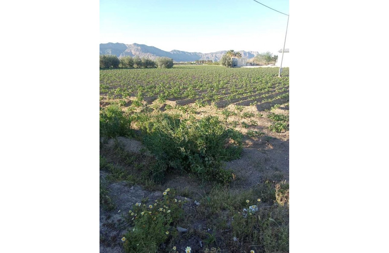 Resale - Country house - Arneva - LOS DESAMPARADOS
