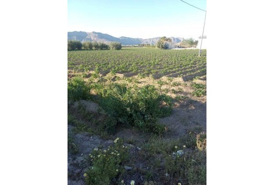 Resale - Country house - Arneva - LOS DESAMPARADOS