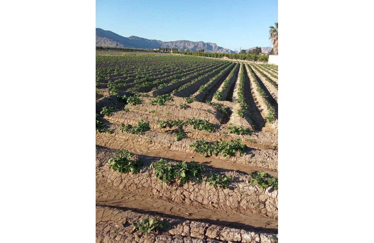 Resale - Country house - Arneva - LOS DESAMPARADOS