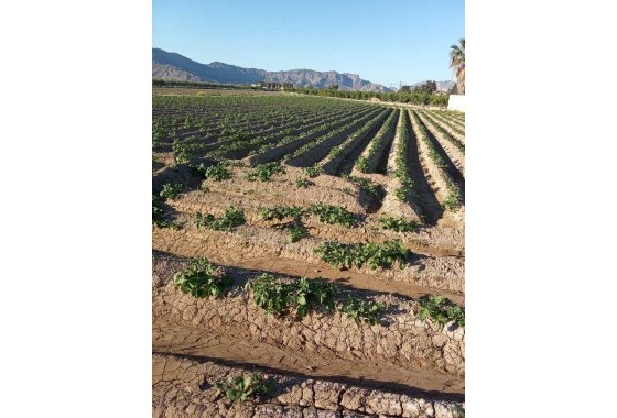 Resale - Country house - Arneva - LOS DESAMPARADOS