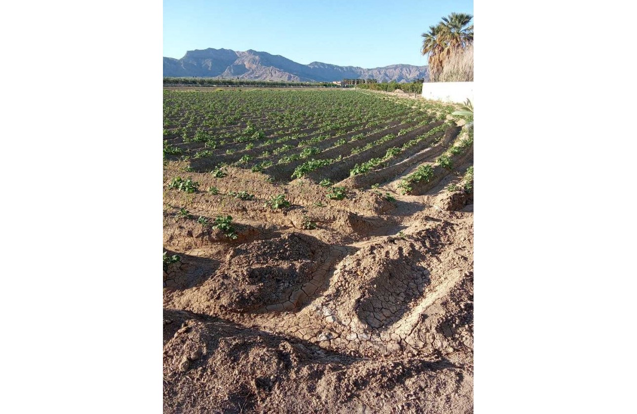 Resale - Country house - Arneva - LOS DESAMPARADOS