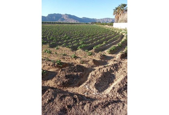 Resale - Country house - Arneva - LOS DESAMPARADOS