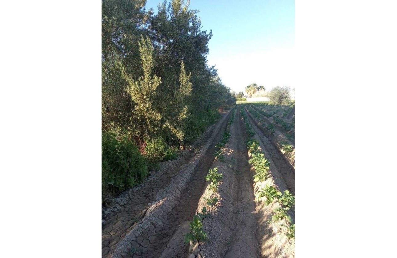 Resale - Country house - Arneva - LOS DESAMPARADOS
