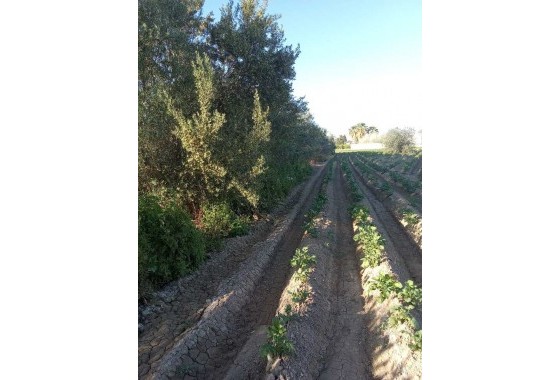 Resale - Country house - Arneva - LOS DESAMPARADOS