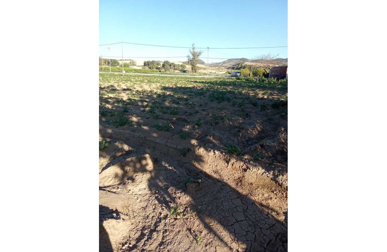 Resale - Country house - Arneva - LOS DESAMPARADOS