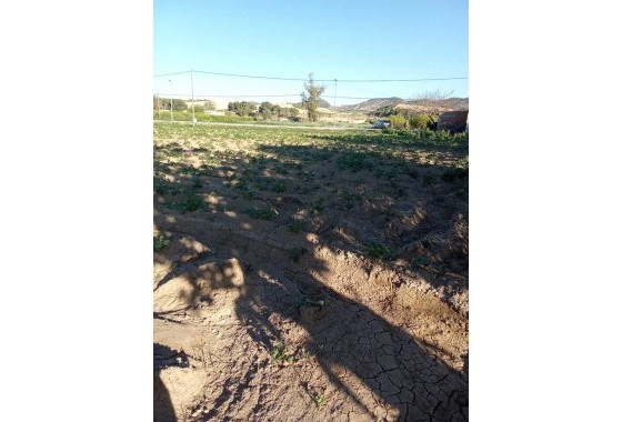 Resale - Country house - Arneva - LOS DESAMPARADOS