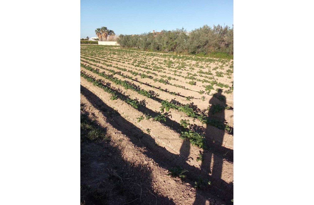 Resale - Country house - Arneva - LOS DESAMPARADOS
