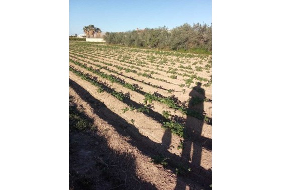 Resale - Country house - Arneva - LOS DESAMPARADOS