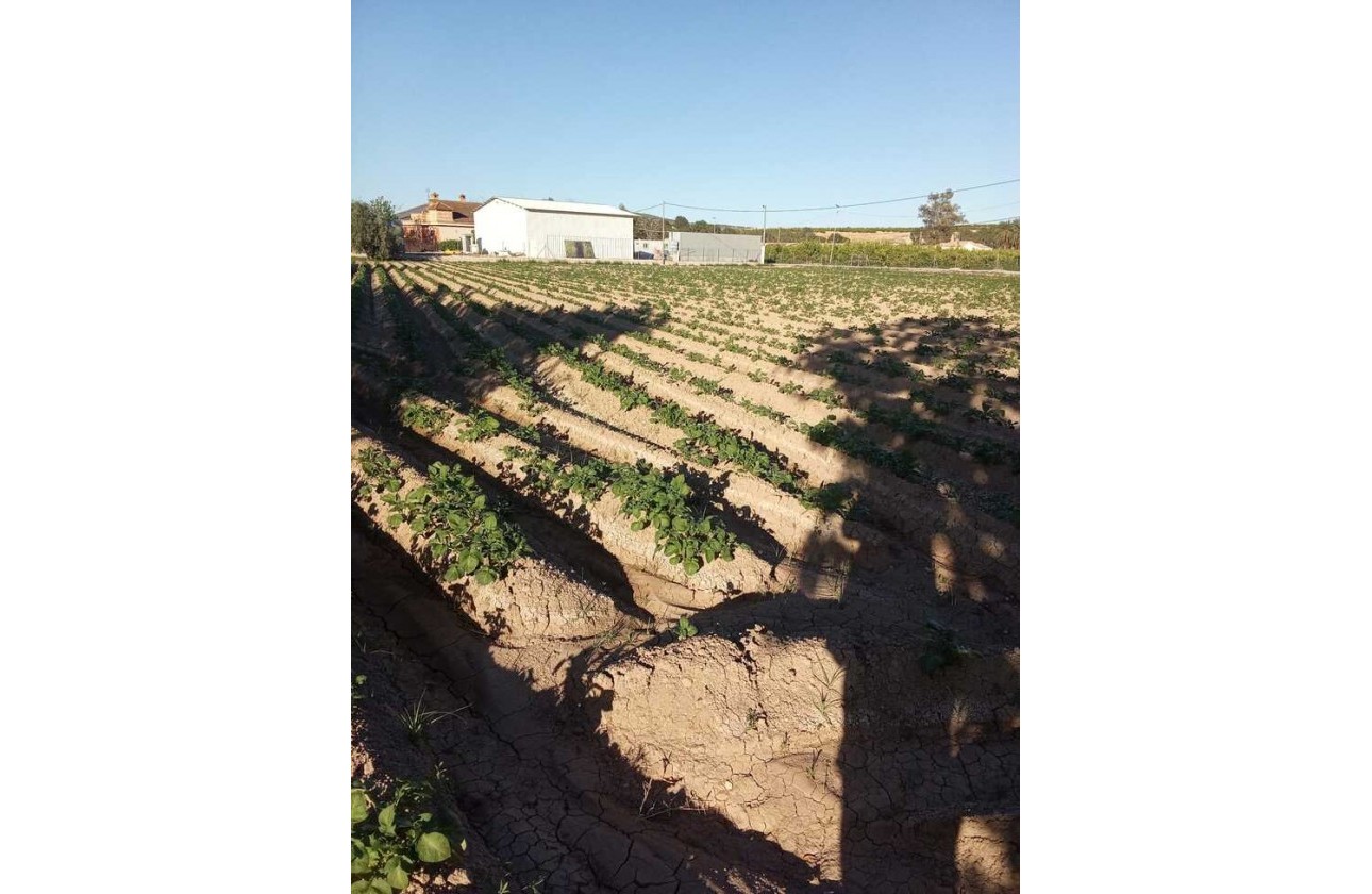 Resale - Country house - Arneva - LOS DESAMPARADOS