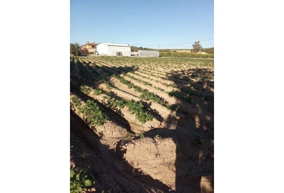 Resale - Country house - Arneva - LOS DESAMPARADOS