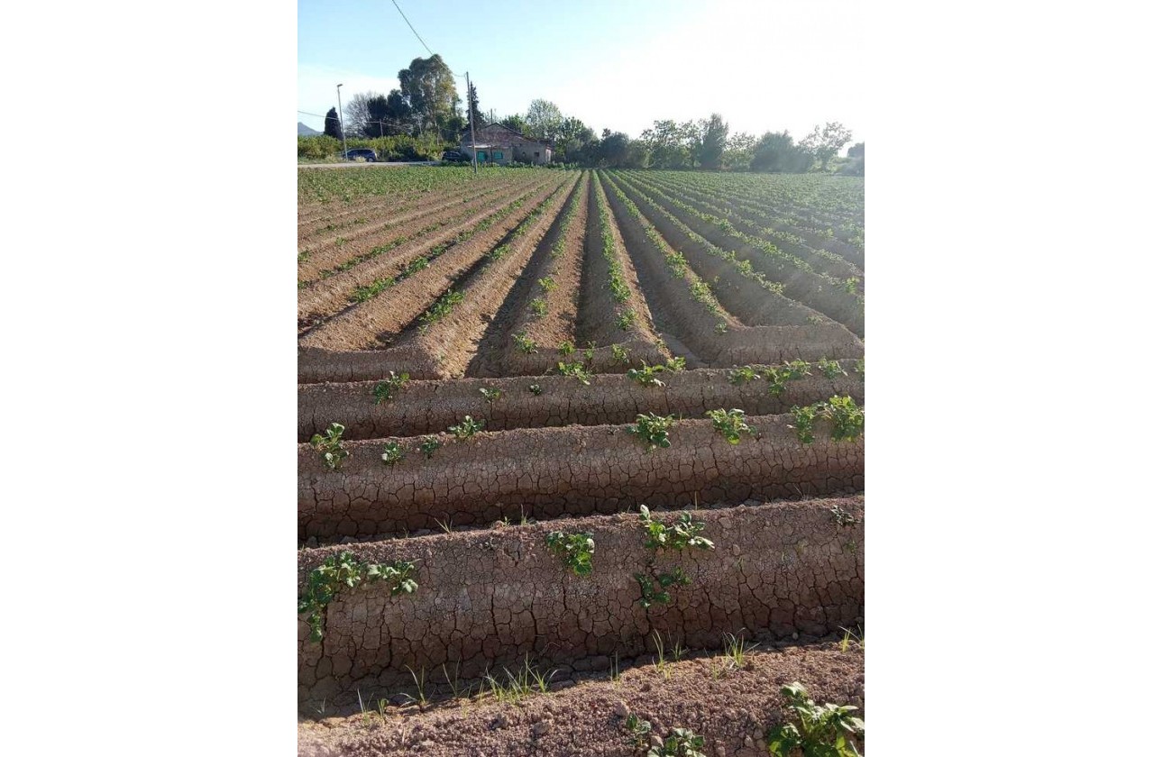 Resale - Country house - Arneva - LOS DESAMPARADOS