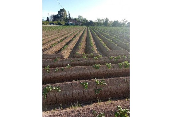 Resale - Country house - Arneva - LOS DESAMPARADOS