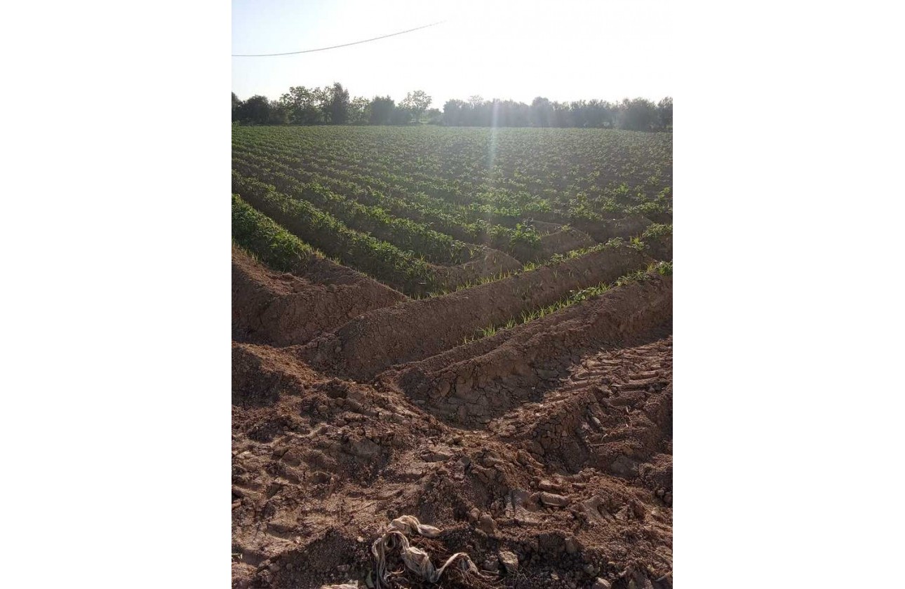 Resale - Country house - Arneva - LOS DESAMPARADOS