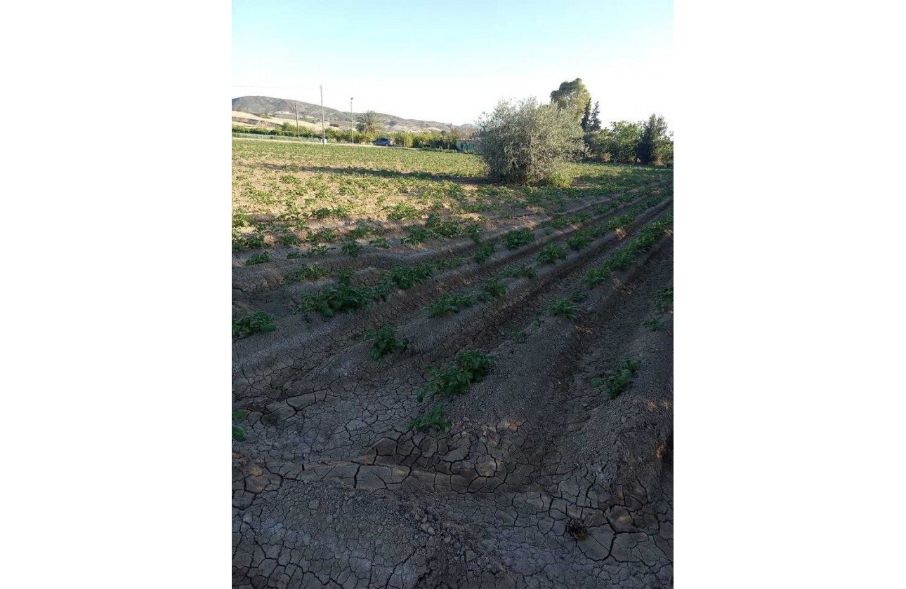 Resale - Country house - Arneva - LOS DESAMPARADOS
