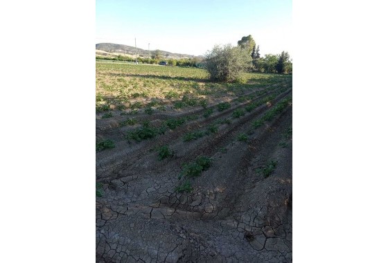 Resale - Country house - Arneva - LOS DESAMPARADOS
